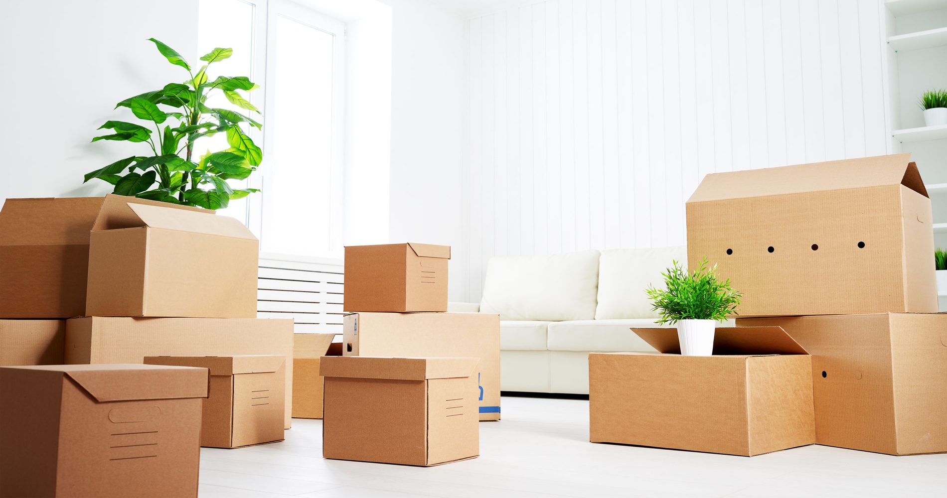 🚚 Moving Company 📦 Port St. Lucie Florida